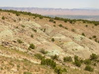 On the Black Ridge Trail